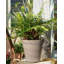Boan Animals UV Resistant Stone Garden Statue