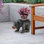 Black Bear Sculptural Accent Stool