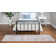 Oriental Indoor Rug