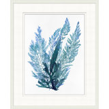 Indigo Seagrass 9 Print