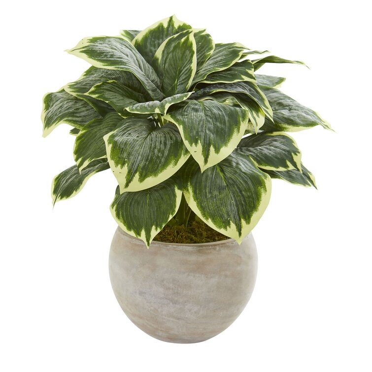 Charlton Home® 26'' Faux Foliage Plant in Stone Planter | Wayfair