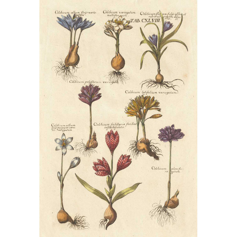 Florilège rétro I, H 36 po x l 24 po
