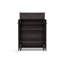 Armoire à chaussures moderne en bois brun foncé (haute)-1721756727