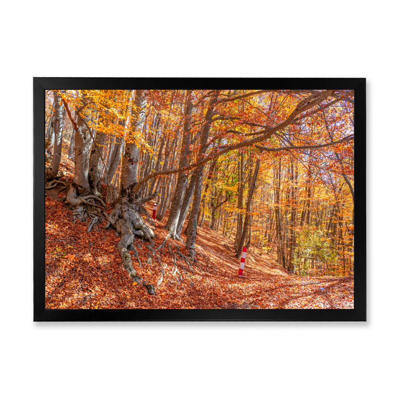 Forêt d'automne, reproduction d'art sur toile traditionnelle, H 24 po x l 36 po x P 1 po, Cadre photo noir