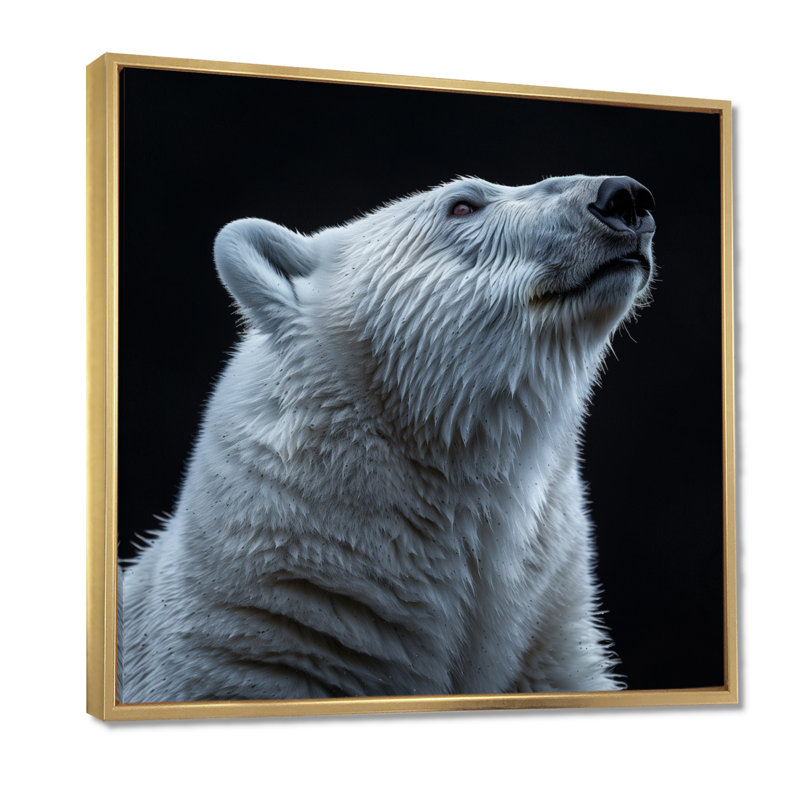 Reproduction d'art noir et blanc photo d'un ours polaire II - ours 2, Toile avec cadre flottant or