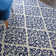 Florissant Damask Indoor Rug