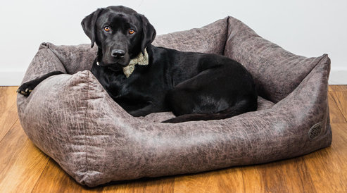Charlie Classic Dog Bed Grey