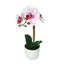 Centres de table orchidées phalaenopsis en pot-1996288490-1994886768
