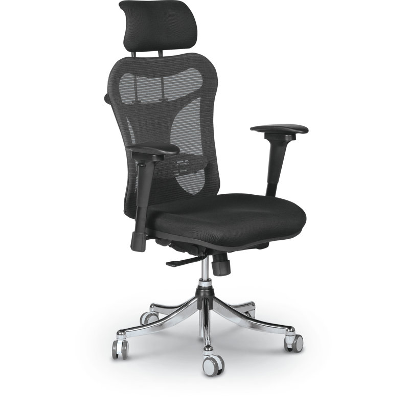 Giannis Task Chair with Headrest