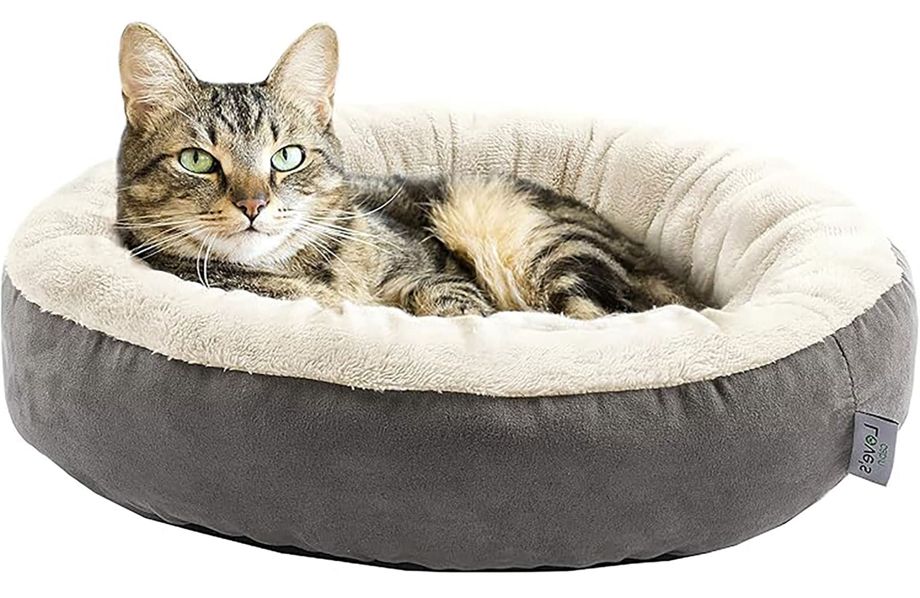 Tucker Murphy Pet™ Ellexus Bolster Pet Bed | Wayfair