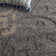 Chaffin Shag Performance Floral Rug
