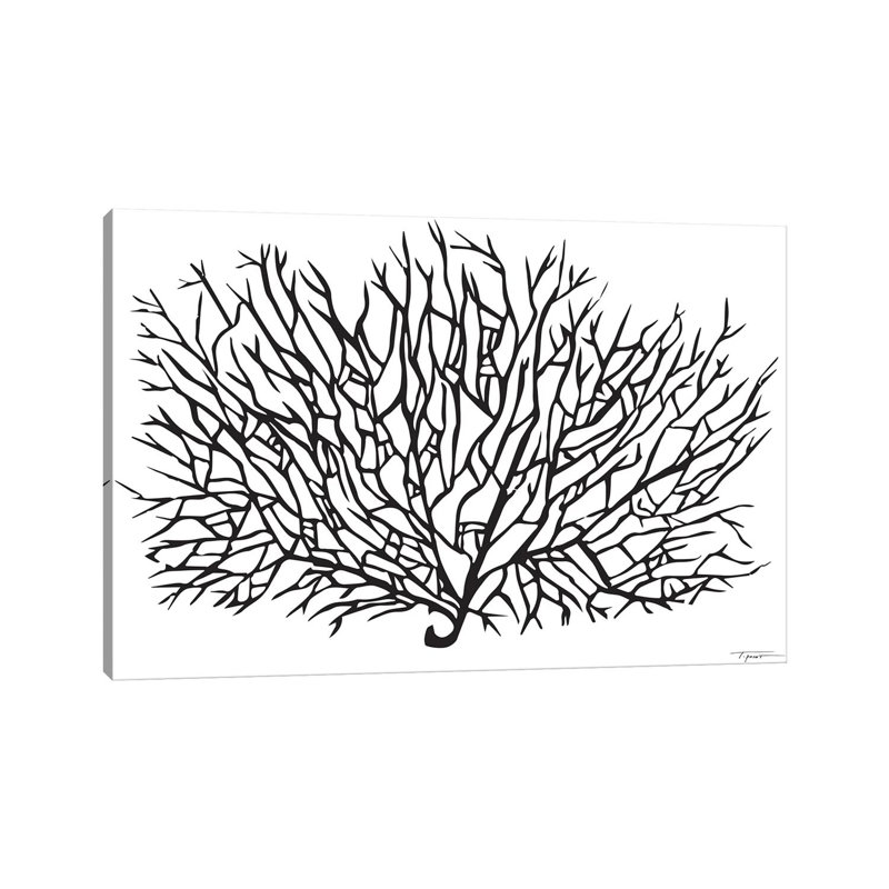 «Coral Sea Fan» par Statistic Goods - reproduction de dessin sur toile tendue, H 8 po x l 12 po x P 0,75 po