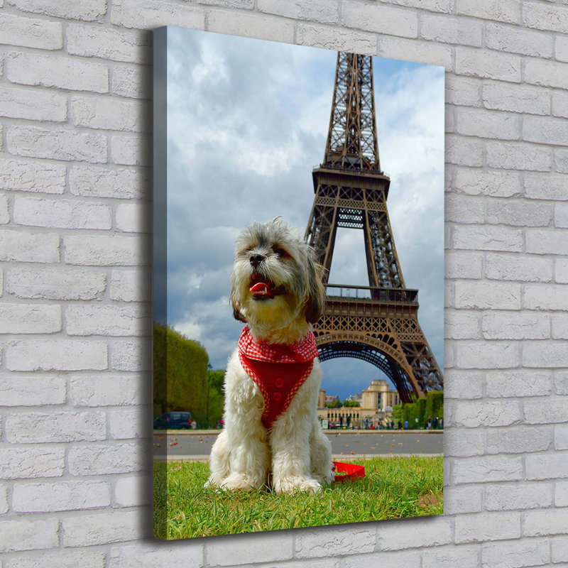 Dog In Paris - Wrapped Canvas Print