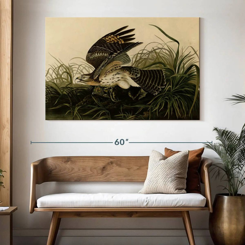 Brampt Winter Hawk, 34" H x 51" W