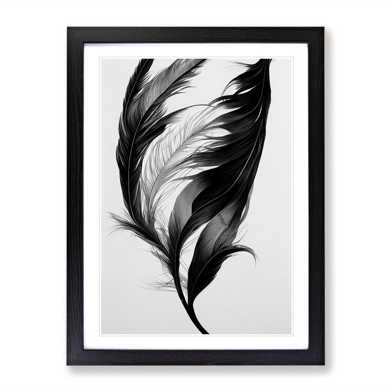 XV1022-5242X Wistful Feather - Single Picture Frame Print, Black Framed, 64cm H x 46cm W