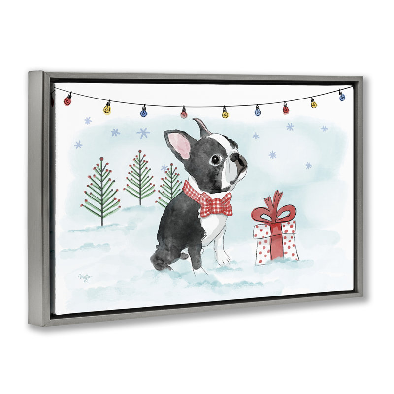 «Snowy Boston Terrier» par Mollie B., Cadre flottant gris lustré, H 21 po x l 31 po