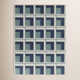 Kamran Indoor/Outdoor Rug