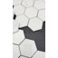 Hexagone brillant 3 po Bianco dolomite