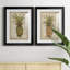 «Pineapple Study I», ensemble de reproductions d'art sur papier encadré-1370695824-1370695834