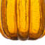 Citrouille haute Luna