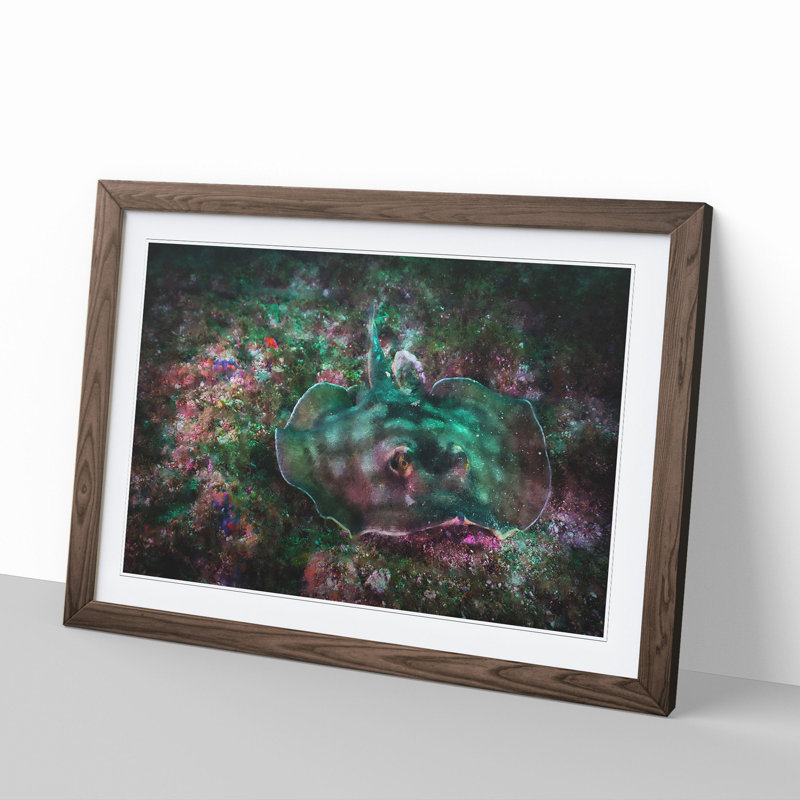 Sting Ray - Picture Frame Painting, 48cm H x 65cm W x 2cm D, Walnut Framed