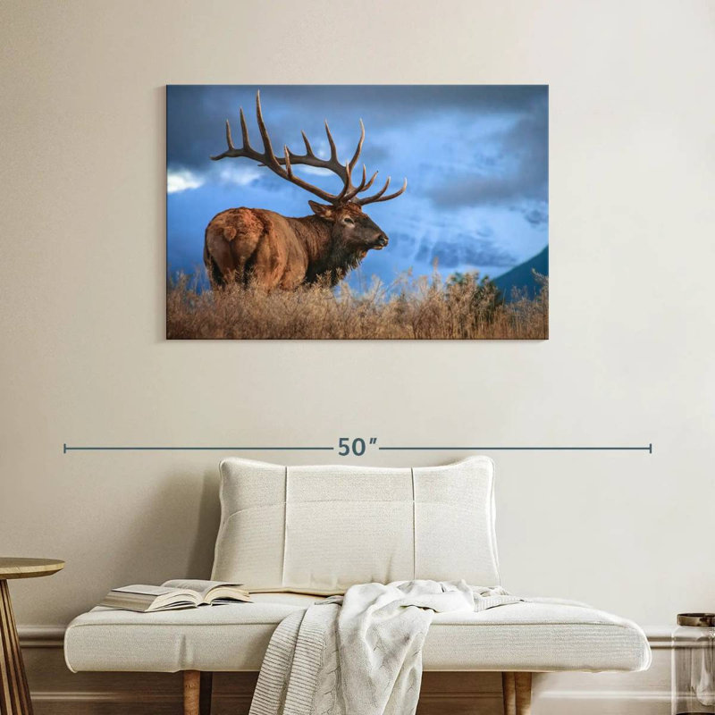 Majestic Bull Elk, 26" H x 39" W