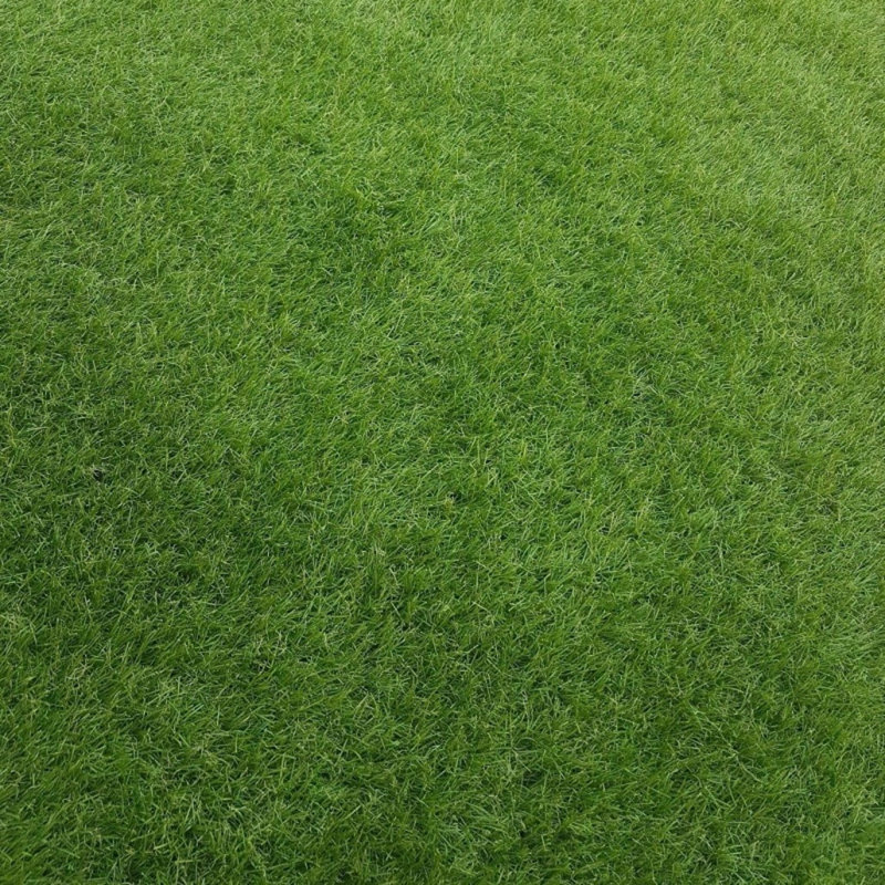 3.2cm Grass, 200 W x 300 D cm