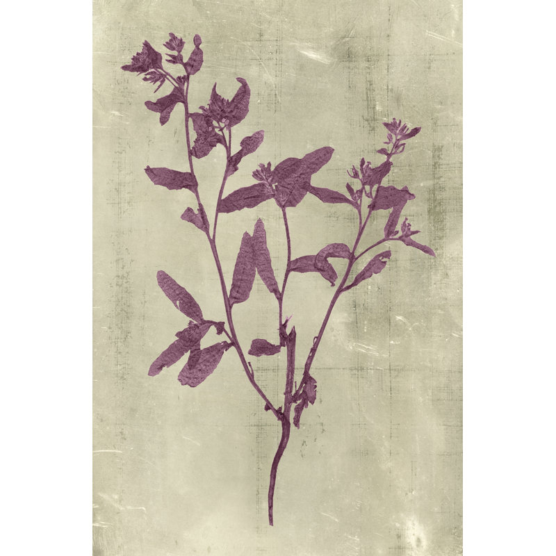 Impressions In Plum by Vision Studio - Wrapped Canvas Print, 46cm H x 30cm W x 3.8cm D