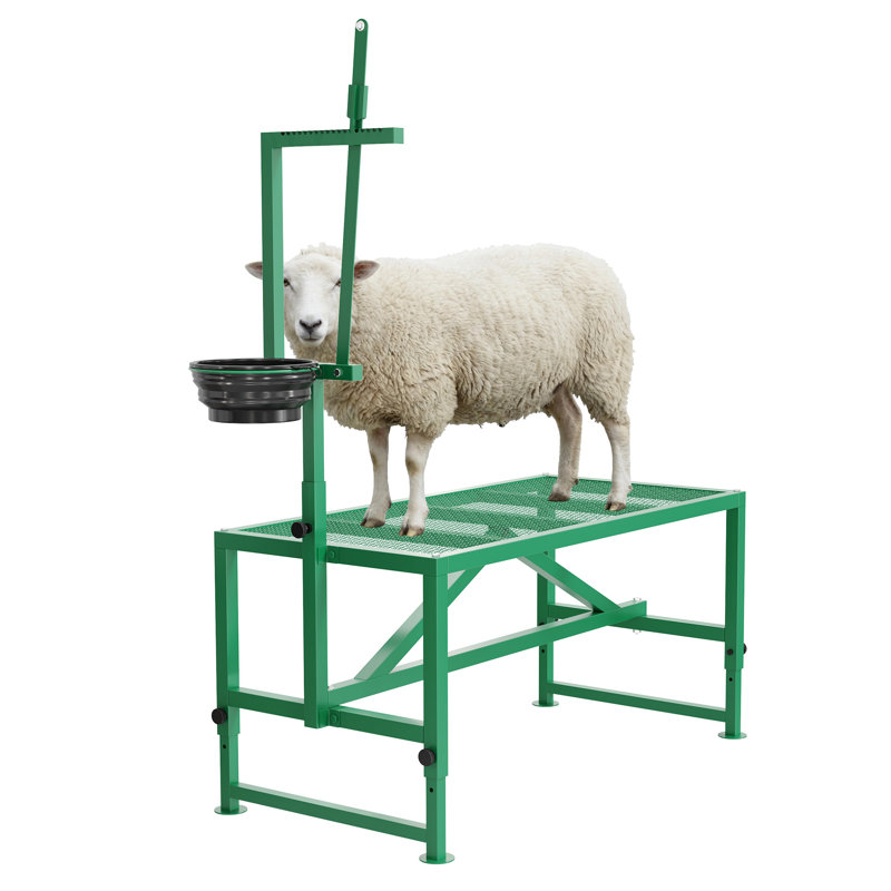 Support de traite pour chèvres de 119 cm avec têtière et pieds ajustables, support de toilettage pour bétail avec mangeoire