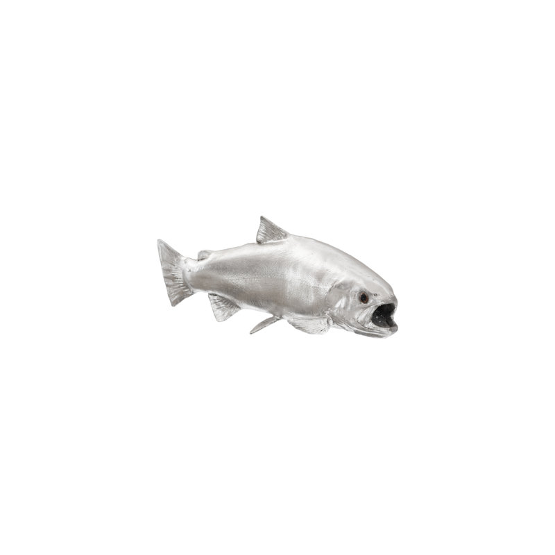 Rainbow Trout Fish Wall Décor