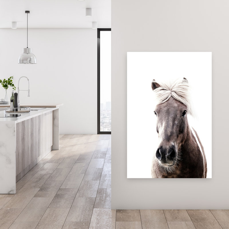 Islande, cheval, Lucy, élégant cheval minimaliste pacifique, art mural