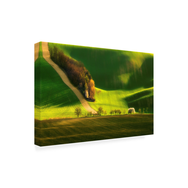 Art mural sur toile tendue - Krzysztof Browko «Spring On Fields», art mural pour le salon, la chambre à coucher ou le bureau - 22 x 32