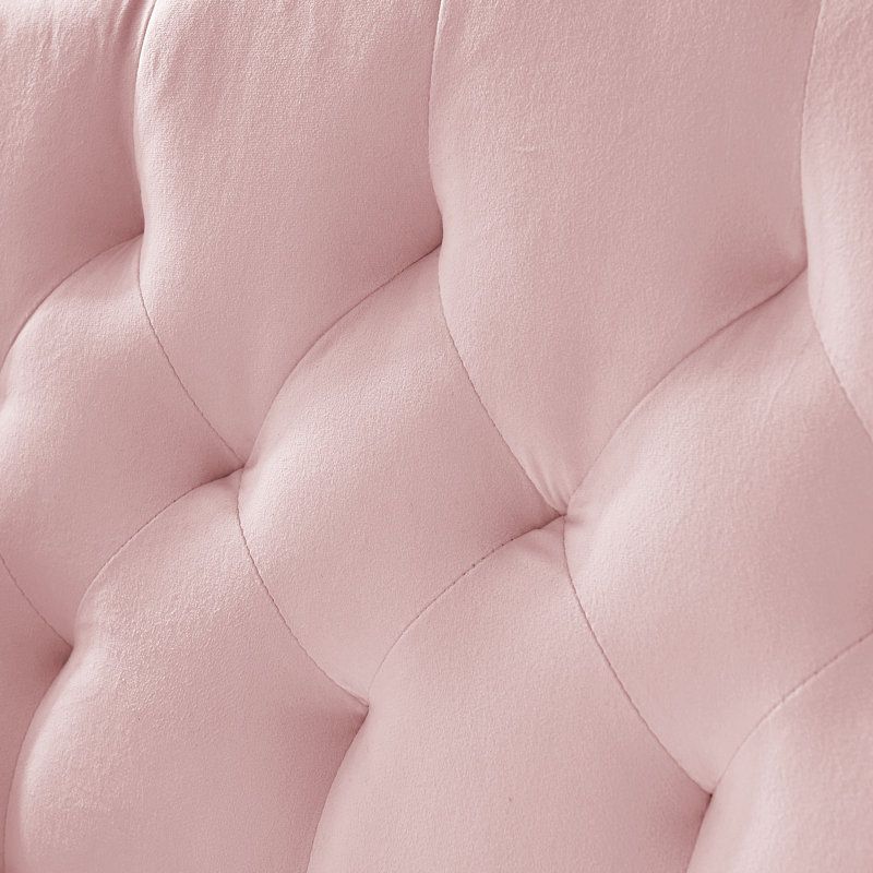2 Seater Pink With Design, Soft Velvet, Metal Legs In Gold, Foam Filled, Easy Assembly, Ideal For Living Areas 2 Couch, Velvet Material, Padding, To Assemble, Suitable Room, Apartment
