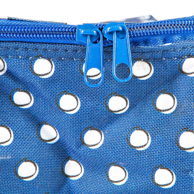 Insulated Lunch Bag, Blue