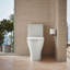 Reach™ Up 1.28 GPF Water Efficient Elongated One-Piece toilet