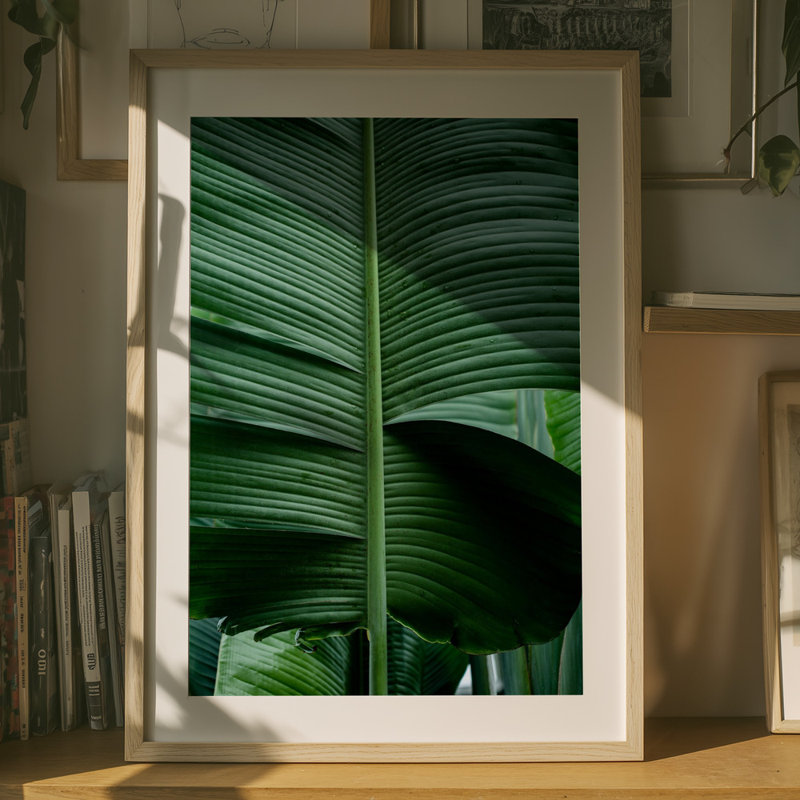 Wrapped Canvas Print, 76.2 cm H x 50.8 cm W