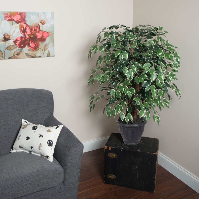 Artificial Variegated Ficus Extra Full Series, Black