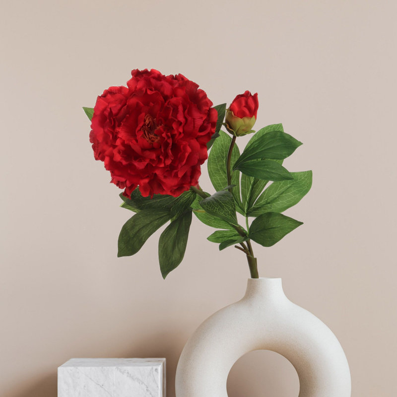 Tige de pivoine, Rouge, 3