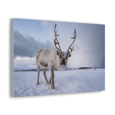 No Frame Print on Canvas
