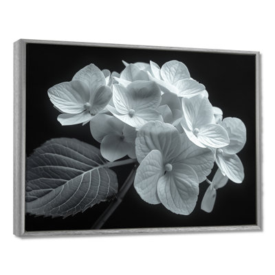Monochromie élégante silhouette hortensia - impression d'art mural hortensia