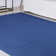 Indoor Rug