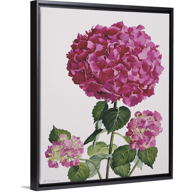 Hydrangea, art mural sur toile, H 40 po x l 32 po x P 1,75 po, Toile avec cadre noir