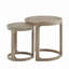 Ensemble de tables basses 24 "2PCS-800968345