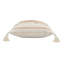 Coussin décoratif à rayures 100% coton Contemporary-141276403-238843008-228043041
