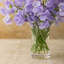 Barre Vase-127602880