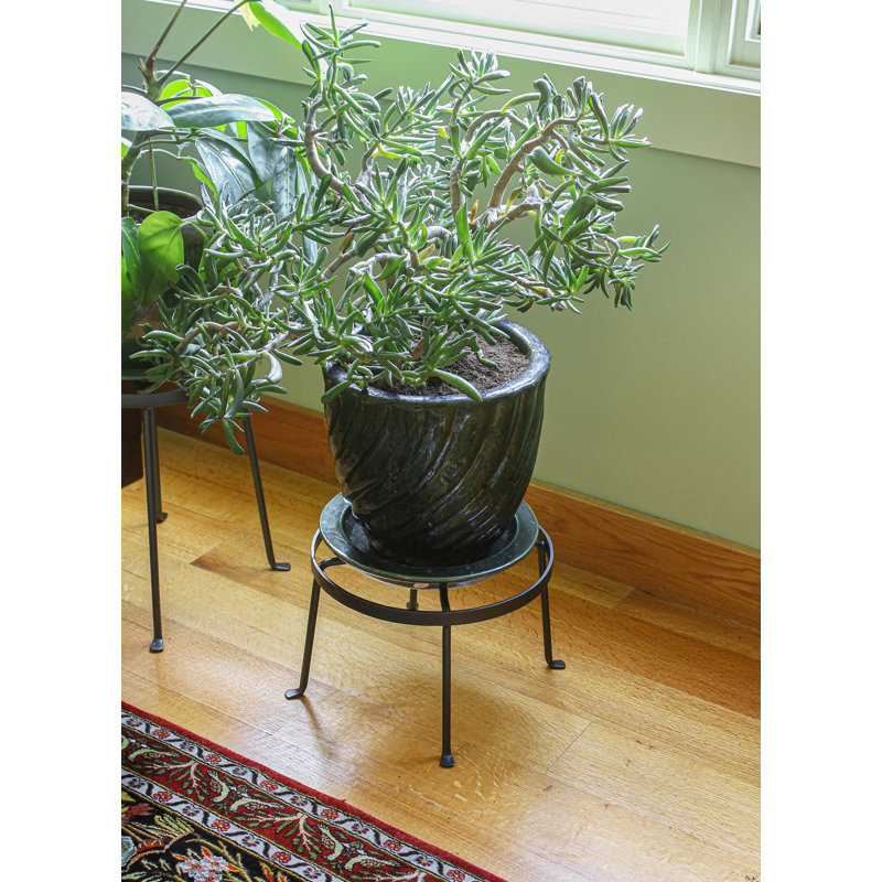 Support pour plante Chivan, 8"