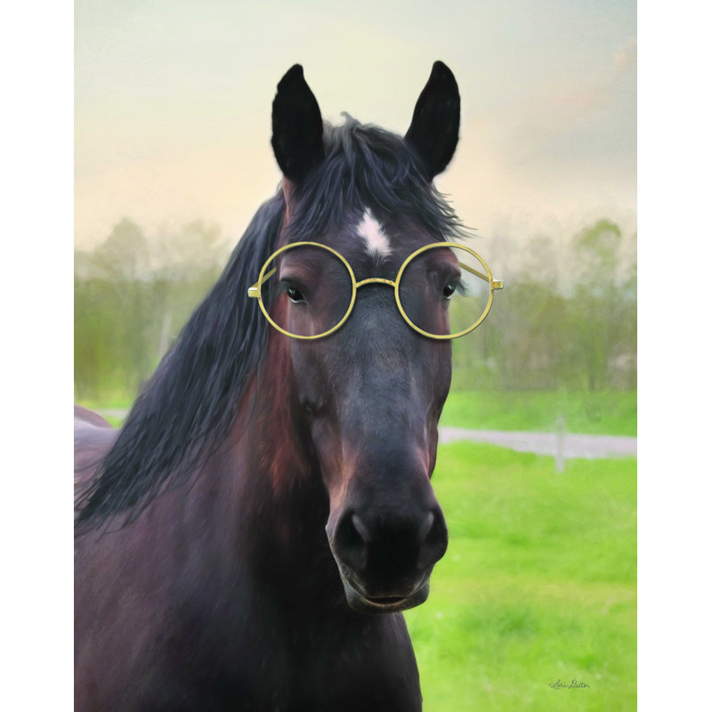 " Horse with Round Glasses " Mixed Media Print, 16" H x 12" W
