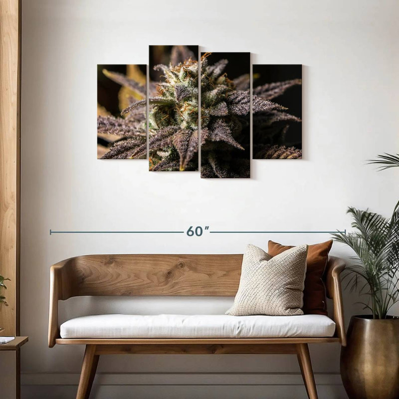 Marijuana en hiver, H 27 po x l 43 po