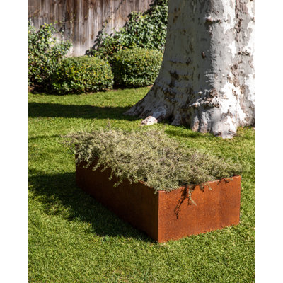 Corten Steel Series 13" H Garden Bed Square Planter