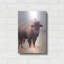 «American Bison V» par Debra Van Swearingen-101509658